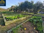 Sitio na Restinga com 2 casas e ótima oportunidade para...