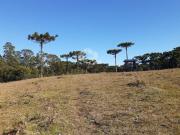SÍTIO NO BAIRRO APANHADOR EM CAXIAS DO SUL