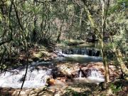 Sítio no Vale dos Vinhedos com casa e riacho