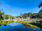 SÍTIO PARA VENDA CAPUTERA, COTIA SP