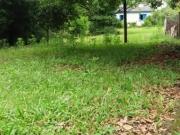 Sítio para Venda em Eldorado do Sul, Parque Eldorado, 1...