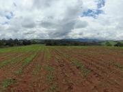 Sítio para Venda em Pinhalzinho, Campestre