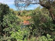 Sítio Rural / do Arraial