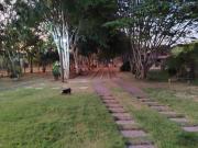 Sitio, Rural, Piedade das Gerais, MG