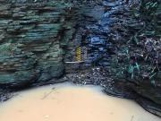 Sítio venda c/ empresa carvoaria montada, carteira...