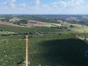 Sítio/Fazenda à Venda, 170 alqueires por R$ 51.000.000...