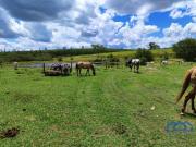 Sítio/Fazenda à Venda, 294 alqueires por R$ 28.077.000...
