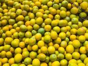 Sítio/Fazenda à Venda, 350 alqueires por R$ 275.000.000...