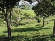 SÍTIO/FAZENDA Á VENDA CENTRO SÃO LUIZ DO PARAITINGA SP