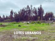 Sitios urbanos en Arauco