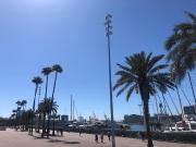 Situado en el corazón vibrante de la Barceloneta, este...