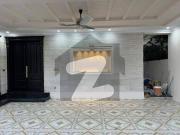 Size 50x90 Brand New Double Store Luxury House For Sale...