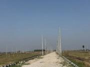 Sky Wood 110 Sq.Yd. Plot in Lalru Mohali
