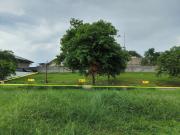 SL74 FOR SALE 278 SQM Residential Lot in Alabang West...