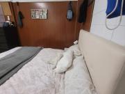 SL Double Room in 5 bedroom La Plata