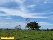 SM60 FOR SALE Farm Lots near Anvaya Cove, Morong Bataan SM60 FOR SALE Farm Lots near Anvaya Cove, Morong Bataan