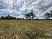 SMALL TOWN CONVENIENCE & COUNTRY SPACE