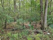 Snowdoun Chambers Rd, Montgomery, Plot For Sale