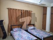Sns Solutions Offers Budgeted Option Of Flat For Rent...