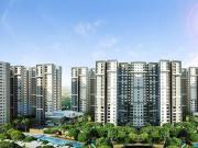 Sobha Ayana At Dream Acres Wing 60 To 71,Balagere 3 BHK...