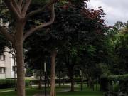 Sobha Dream Acres 2 Bedroom 1007 Sq. Ft. Apartment in...