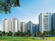 Sobha Infina,Koramangala 3 BHK Apartment For Sale Bangalore