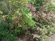 Sobrado 04 DormitÃ³rios 02 SuÃtes Planalto...