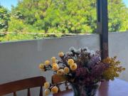 Sobrado 3 dormitórios mobiliado à venda, Cipava, Osasco, SP