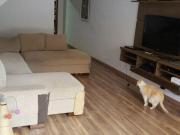 SOBRADO à venda, 3 quartos, 4 vagas, Vila Água Funda São...