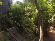 Sobrado alto de pinheiros sp