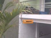 Sobrado com 2 dormitórios, 230 m² venda por R$...