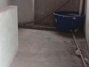 Sobrado com 2 dormitórios à venda, 134 m² por R$...