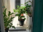 Sobrado com 3 dormitórios à venda, 125 m² por R$...