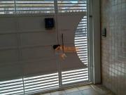 Sobrado com 3 dormitórios à venda, 153 m² por R$...