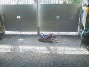 Sobrado com 3 dormitórios à venda, 206 m² por R$...