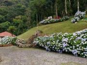 Sobrado com 3 dormitórios à venda, 230 m² por R$...