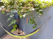 Sobrado com 3 dormitórios à venda, 250 m² por R$...