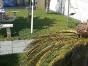 Sobrado com 3 dormitórios à venda, 275 m² por R$ 690.000...