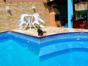 Sobrado com 3 dormitórios à venda, 497 m² por R$...