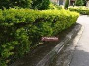 Sobrado com 3 dormitórios à venda, 84 m² por R$...