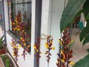 Sobrado com 3 dormitórios para alugar, 211 m² por R$...