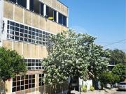 Sobrado com 3 quartos à venda em Jardim Vila Galvão SP