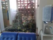Sobrado com 3 quartos à venda em Santana SP