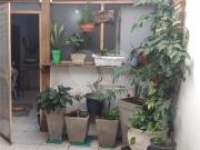 Sobrado com 3 quartos à venda em Vila Aurora SP