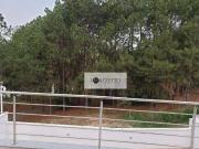 Sobrado com 4 dormitórios à venda, 359 m² por R$...