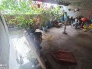 Sobrado com 4 dormitórios à venda, 366 m² por R$ 371.000...