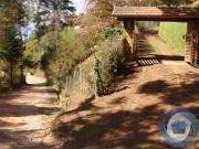 Sobrado com 4 dormitórios à venda, 500 m² por R$...