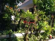 Sobrado com 5 dormitórios para alugar, 940 m² por R$...