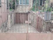 Sobrado com 8 quartos à venda em Vila Matilde SP