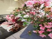 Sobrado com piscina a venda na Penha com 3 dormitórios e...